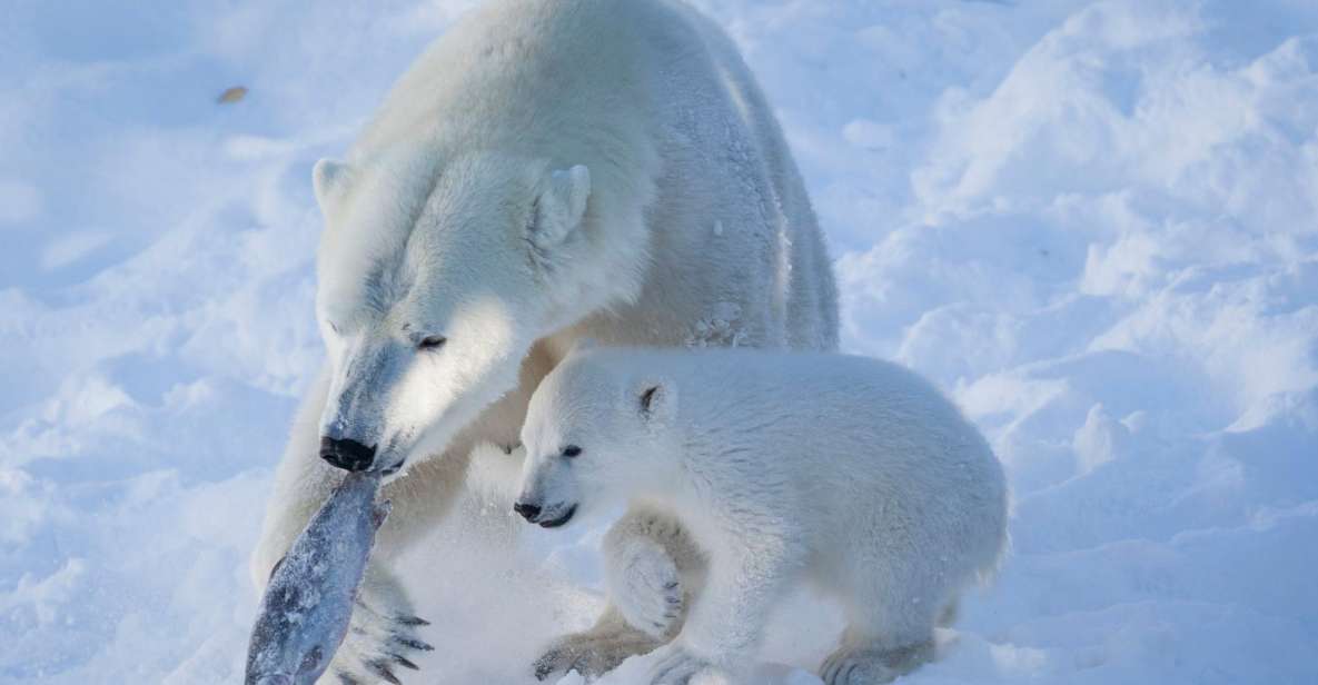 Ranua Wildlife Park Guided Tour from Rovaniemi - Price and value: is $165 fair for what you get?