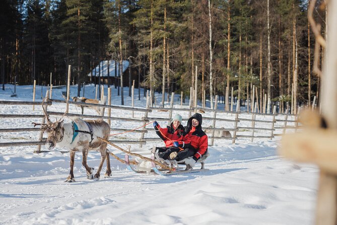 Reindeer Experience with Sledge Ride - Timing, Waiting, and Crowds: The Trade-Off You Should Plan For
