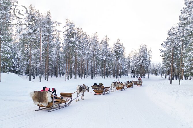 Reindeer Safari in Arctic Wilderness - Warm Drinks at the Farmhouse: Snacks, Questions, and Resetting