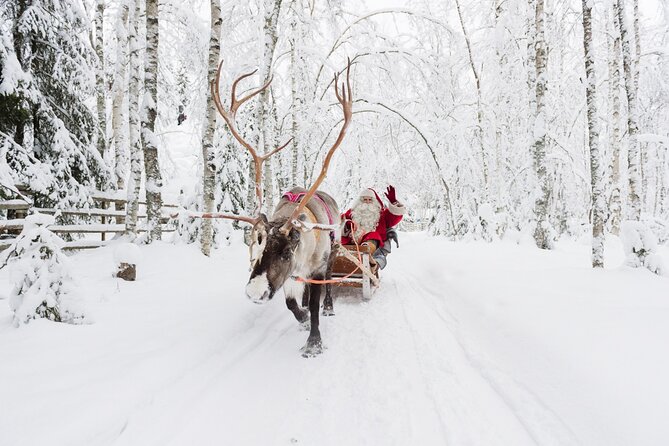 Reindeer Sleigh Ride and Farm Experience from Rovaniemi - Why This Reindeer Ride Feels More Local Than You Think
