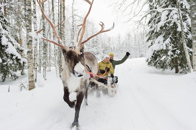 Reindeer Sleigh Ride and Farm Experience from Rovaniemi - Sleigh Ride Length: Forest Time vs. Transfer Time