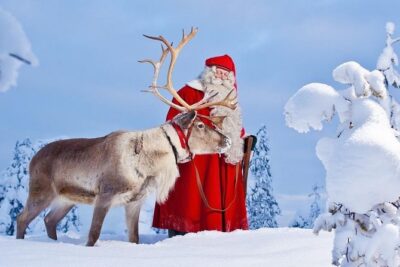 Reindeer Sleigh Ride and Farm Experience from Rovaniemi - The Farm Stop: Where the Day Gets Real