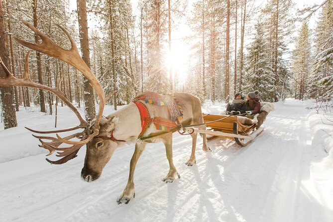 Reindeer Sleigh Ride and Farm Experience from Rovaniemi - The Guide Experience: Commentary That Makes the Animals Meaningful