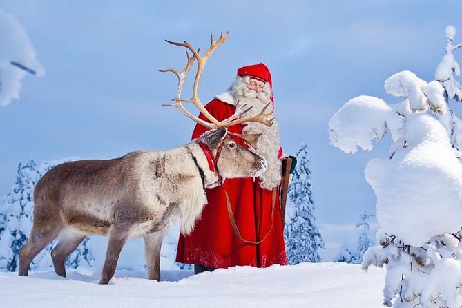 Reindeer Sleigh Ride and Farm Experience from Rovaniemi - The Farm Stop: Where the Day Gets Real