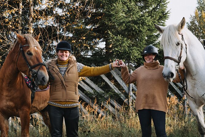 Riding Tour with Finnhorses at Santa Claus Village - Finnhorses Through Snow: The First Minutes You’ll Appreciate