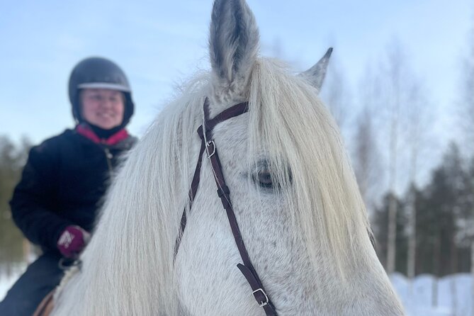 Riding Tour with Finnhorses at Santa Claus Village - How the Trek Works: Pacing, Control, and Calm Connections