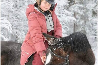 Riding Tour with Finnhorses at Santa Claus Village - Getting From Santa Claus Village to Aurora Horses (And Why Timing Matters)