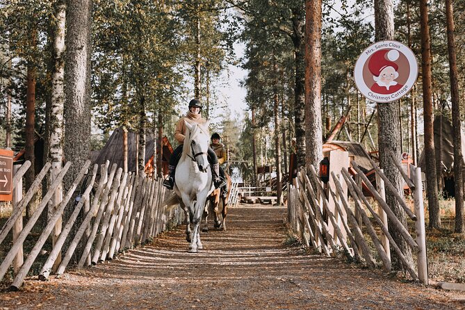 Riding Tour with Finnhorses at Santa Claus Village - Campfire Finish: Cookies, Warm Drinks, and Finnhorse Stories