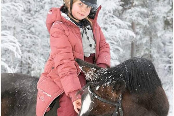 Riding Tour with Finnhorses at Santa Claus Village - Getting From Santa Claus Village to Aurora Horses (And Why Timing Matters)