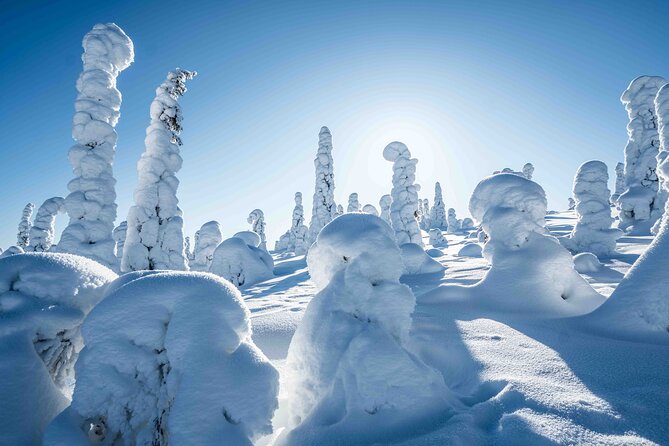 Riisitunturi wilderness adventure - Price and value: what $205.84 buys you (and what to watch for)