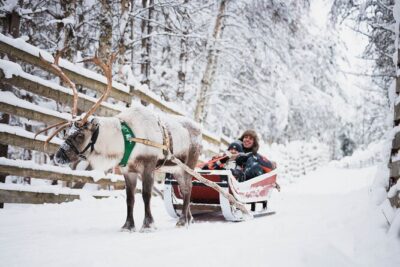 Rovaniemi 2 days Activities Package - Day 1: Arctic Circle Snowmobile Park, Training, Then Forest Time