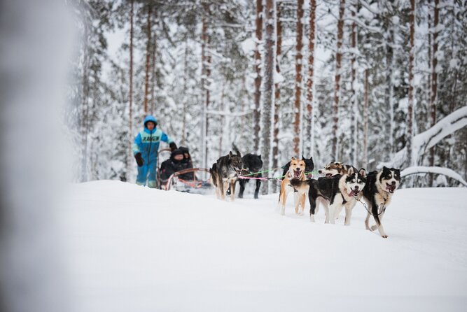 Rovaniemi 2 days Activities Package - Price and Value: Is It Worth $464.99?