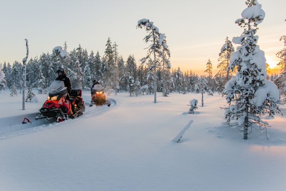 Rovaniemi: 2-Hour Snowmobiling Experience - A quick value check: is $148 worth it