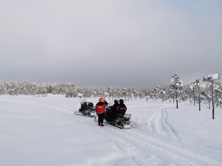 Rovaniemi: 3-Hour Snowmobile Safari in Lapland - Insurance, liability, and the smart move before you start