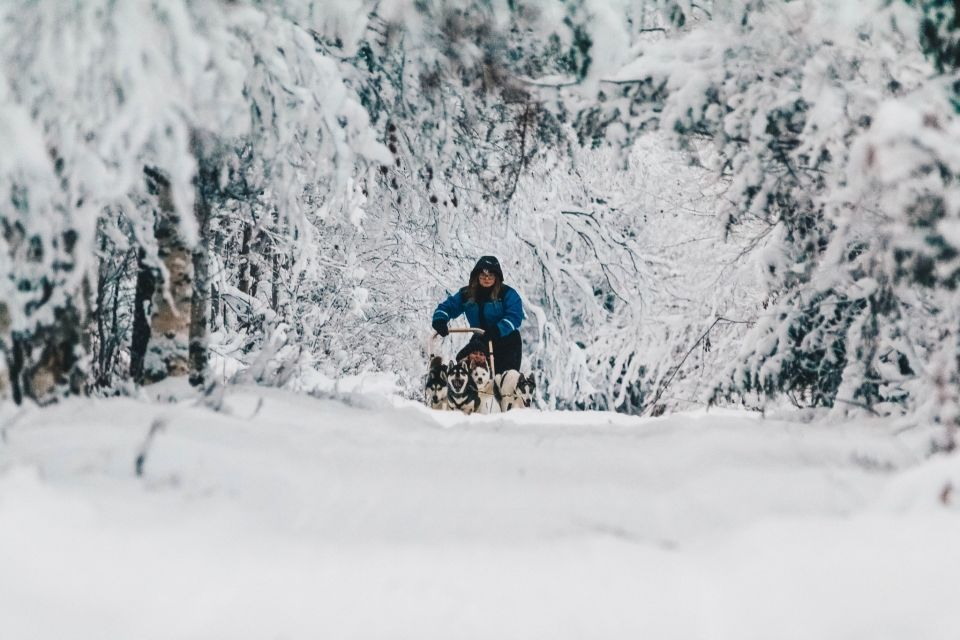 Rovaniemi: Apukka Husky Adventure - Key highlights worth planning around