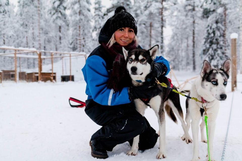 Rovaniemi: Apukka Husky Adventure - Entering Apukka: first meet, first pet, first real “Lapland” moment