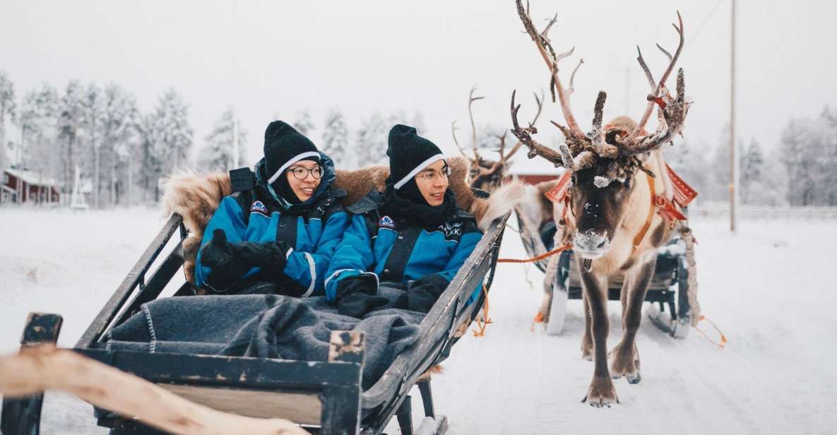 Rovaniemi: Apukka Reindeer Journey - Quiet Hooves, Real Reindeer Care: What This Feels Like in Lapland