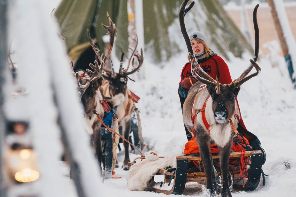 Rovaniemi: Apukka Reindeer Journey - Should You Book the Apukka Reindeer Journey?