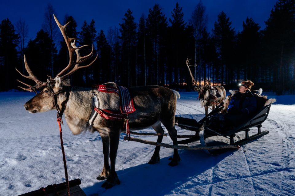 Rovaniemi: Apukka Reindeer Sleigh Ride at Night - The Reindeer Sleigh Ride: Comfort, Safety, and the Quiet Pace