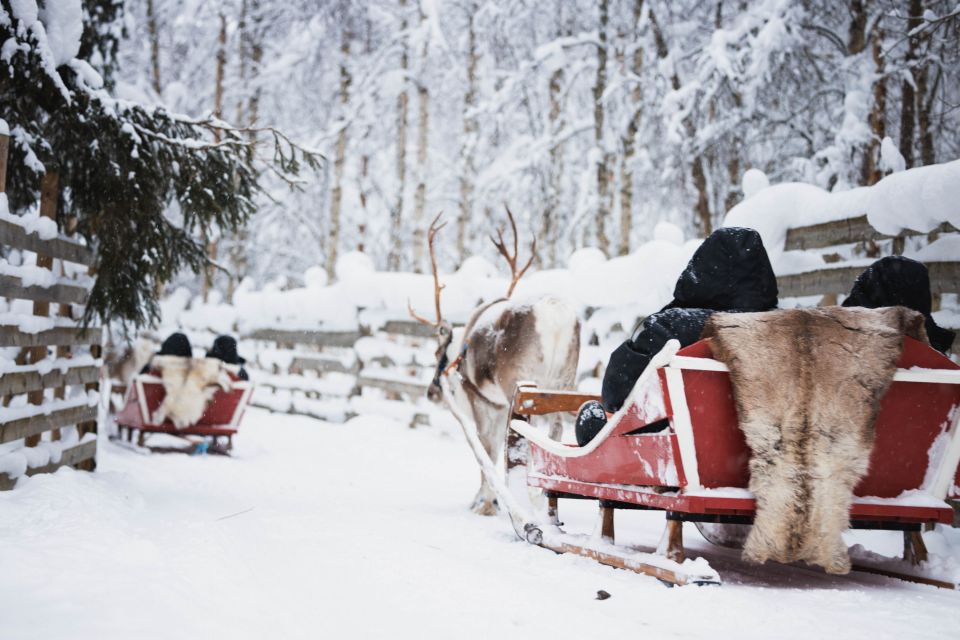 Rovaniemi: Arctic Circle Highlights by Snowmobile - Snowmobile Training and the 1-Hour Arctic Forest Safari