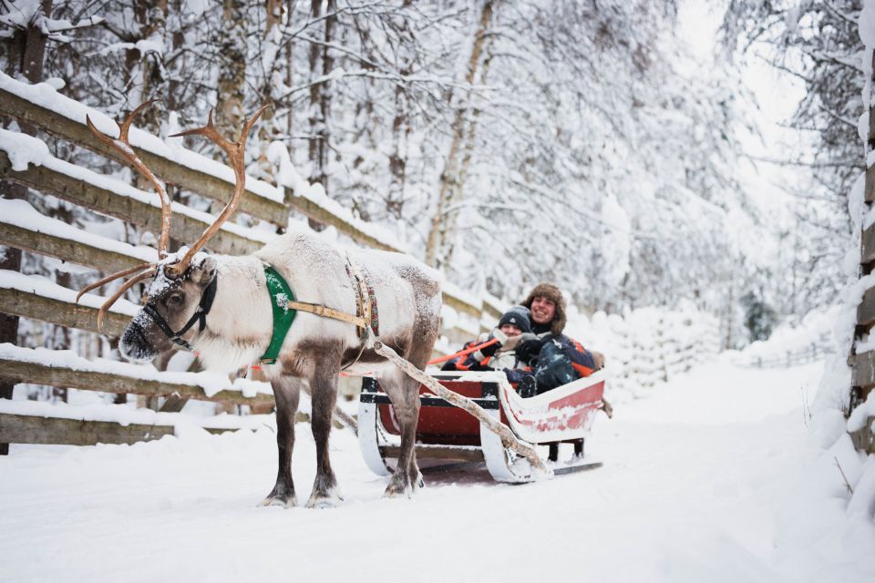 Rovaniemi: Arctic Circle Highlights by Snowmobile - When the Cold Changes the Plan