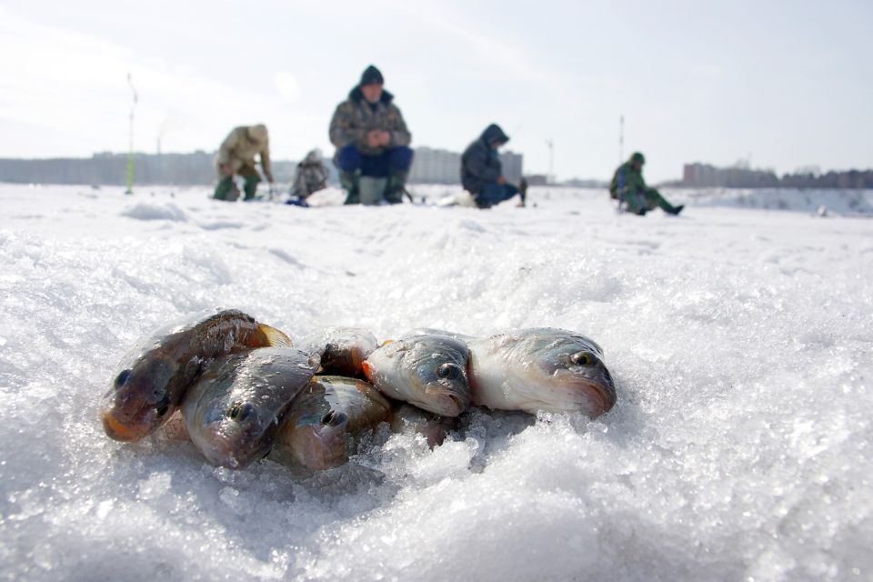 Rovaniemi: Arctic Circle Ice Fishing Experience - The Big Reality Check: You Might Not Catch Fish, But You’ll Still Learn