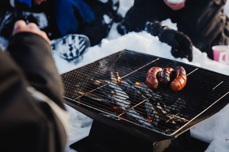 Rovaniemi: Arctic Circle Ice Fishing Experience - What Fish You Should Aim For (and Why Your Guide’s Technique Still Matters)