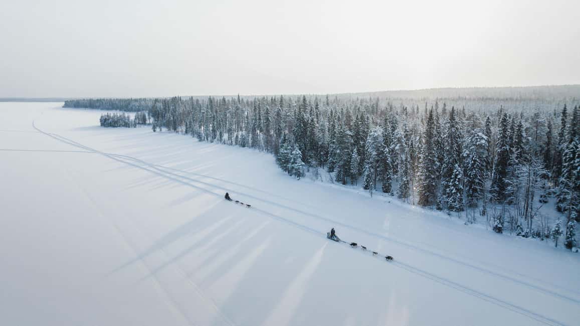 Rovaniemi: Arctic Circle Long Trail Husky Adventure - Rovaniemi Husky Adventure: what the 2 hours is really for
