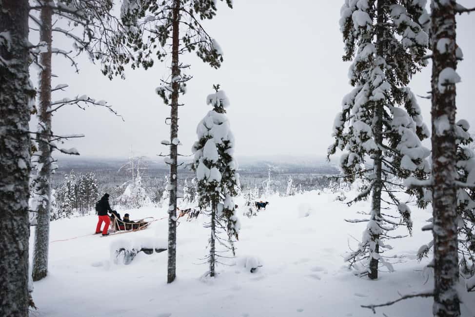 Rovaniemi: Arctic Circle Long Trail Husky Adventure - Meet the Alaskan huskies: cuddles, petting, and real dog talk