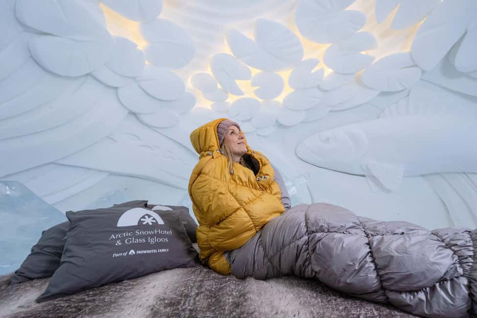 Rovaniemi: Arctic Snow Hotel Tour - Timing matters: morning vs. afternoon in snow, ice, and light