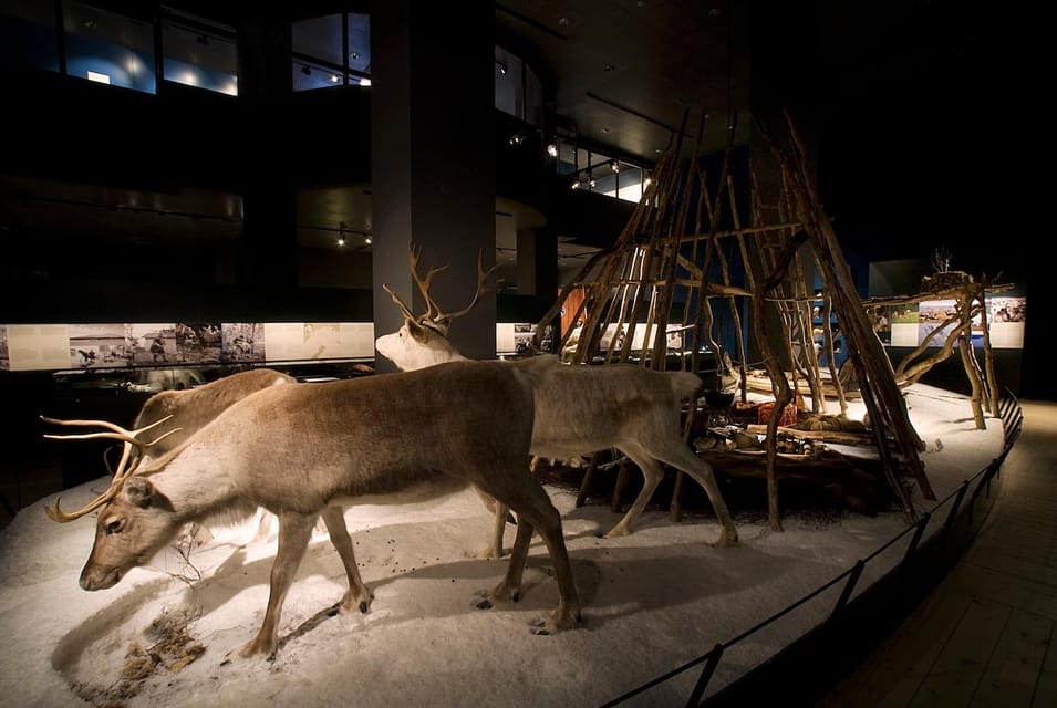 Rovaniemi: Arktikum Science Centre and Museum Entry Ticket - Interactive Parts That Keep Adults Interested