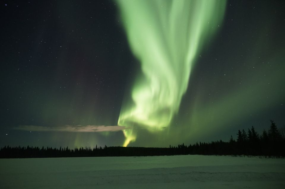 Rovaniemi: Aurora Borealis and Picnic - Key Takeaways Before You Go