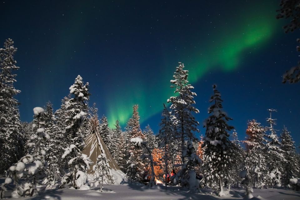 Rovaniemi: Aurora Borealis and Picnic - How the Aurora Borealis Picnic Works in Rovaniemi