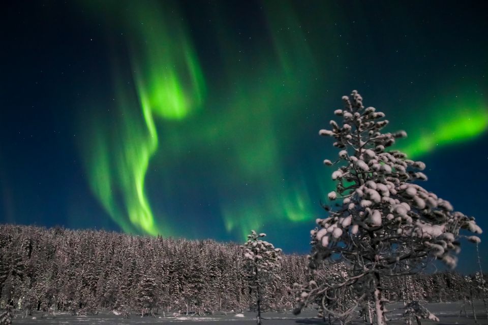 Rovaniemi: Aurora Borealis and Picnic - Getting Away From City Lights: Your Guide’s Aurora Search