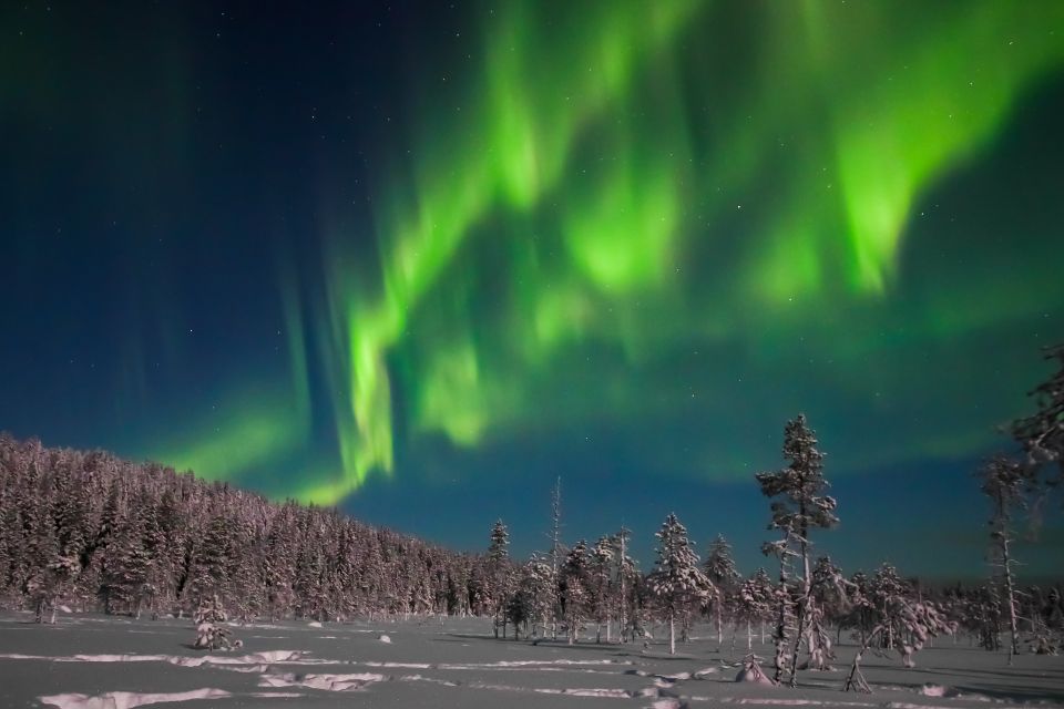 Rovaniemi: Aurora Borealis and Picnic - Should You Book Aurora Borealis and Picnic With Safartica?