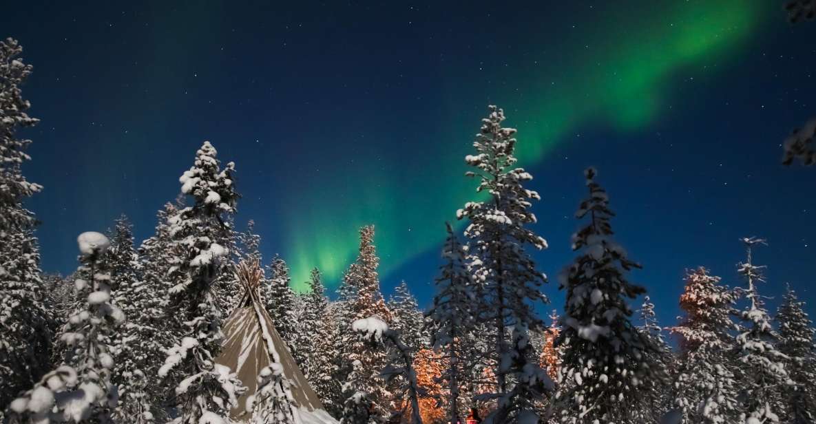Rovaniemi: Aurora Borealis and Picnic - Meeting Point and Timing: Where You’ll Start the Hunt