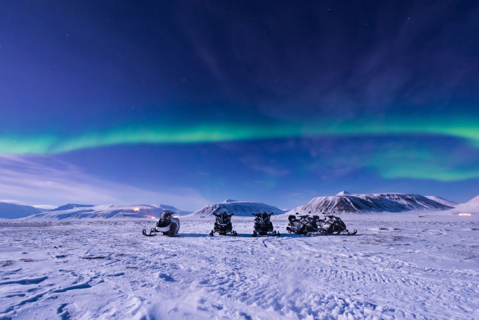 Rovaniemi: Aurora Borealis Snowmobile Safari with Campfire - Key things to know before you go