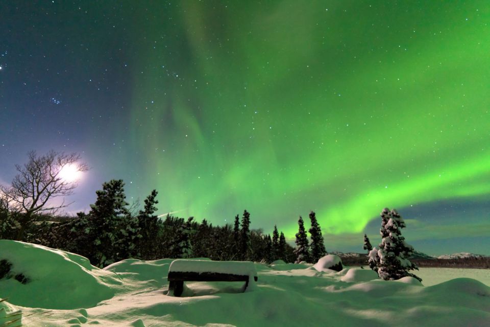 Rovaniemi: Aurora Borealis Snowmobile Safari with Campfire - Entering the Arctic Night: how the ride really feels