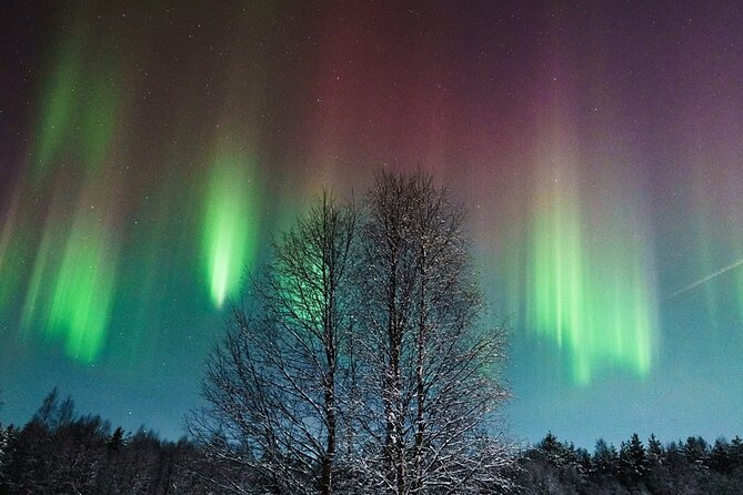 Rovaniemi: Aurora Hunt with Photograph & money back guarantee - Key things I’d plan around