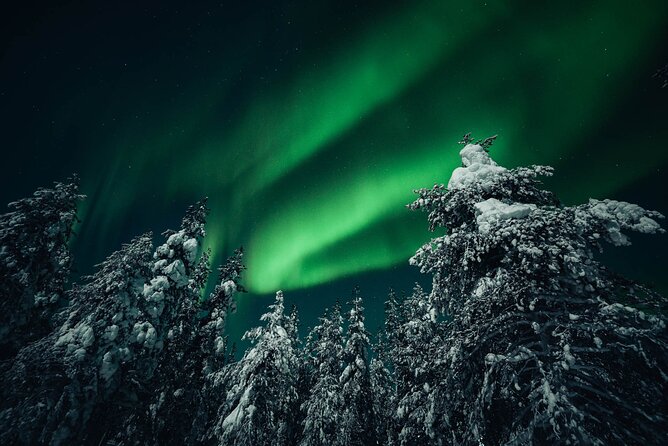 Rovaniemi: Aurora Hunt with Photograph & money back guarantee - Aurora Photography Included: Photos, Patience, and Real Help