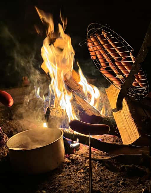 Rovaniemi: Aurora hunting and a fireside BBQ experience - Key takeaways before you go