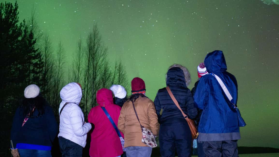 Rovaniemi: Aurora hunting and a fireside BBQ experience - Lapland at night: what the scenic drive really gives you