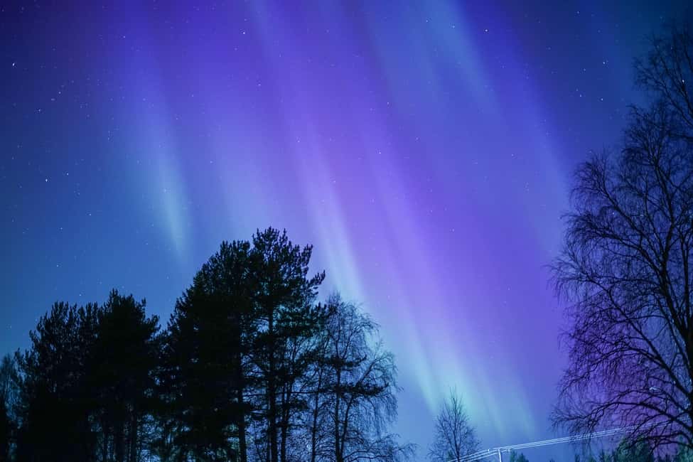 Rovaniemi: Aurora hunting and a fireside BBQ experience - Who this Rovaniemi aurora-and-BBQ tour fits best