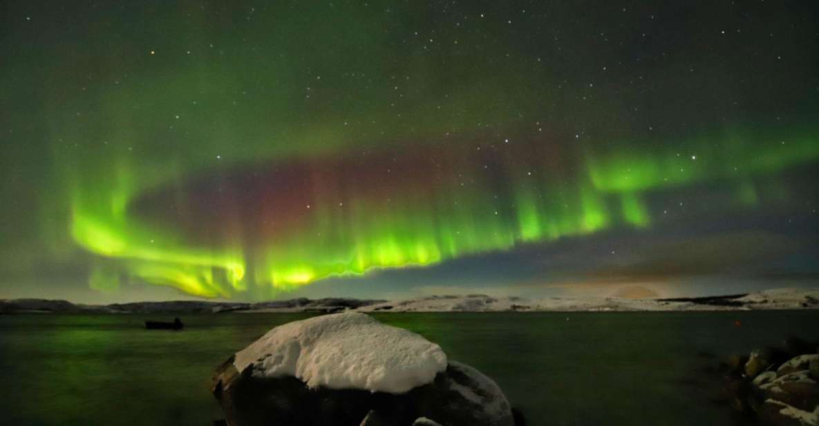Rovaniemi: Aurora Hunting Tour with Photography by Van - Quick take: what makes this Aurora Hunting tour tick