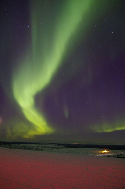 Rovaniemi: Aurora Hunting Tour with Photography by Van - Aurora hunting in Lapland: you’re chasing conditions, not guarantees