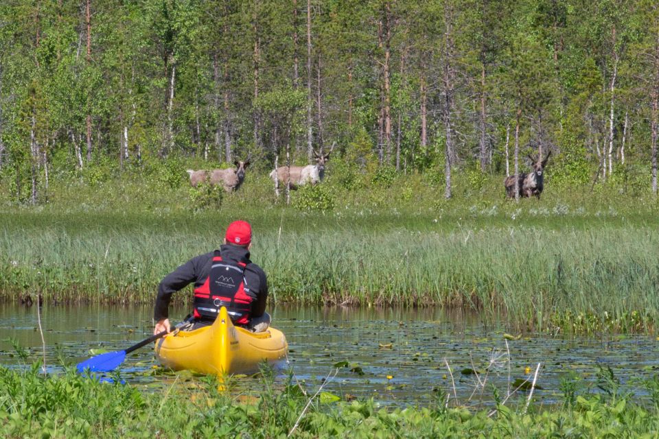 Rovaniemi: Authentic Reindeer Farm & Canoeing - How this 4-hour reindeer-and-canoe day actually plays out