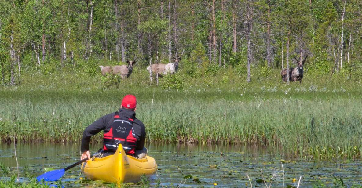 Rovaniemi: Authentic Reindeer Farm & Canoeing - Campfire time: the husbandry lesson that makes the trip stick