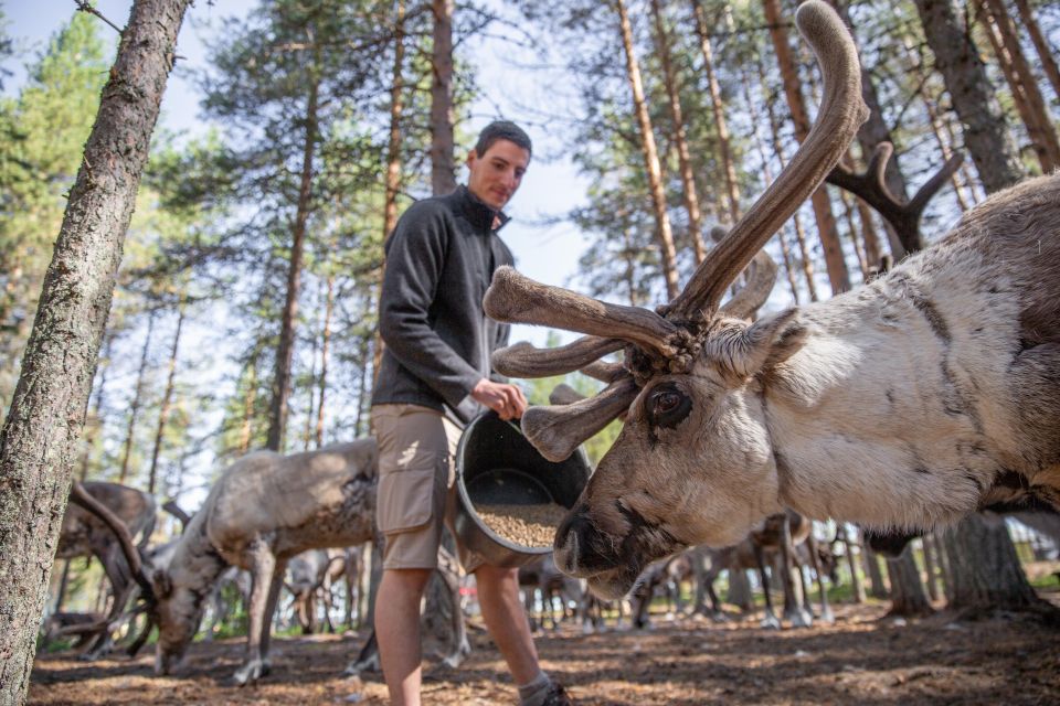 Rovaniemi: Authentic Reindeer Farm & Canoeing - Canoeing on Arctic water: simple lessons, clear safety, no stress
