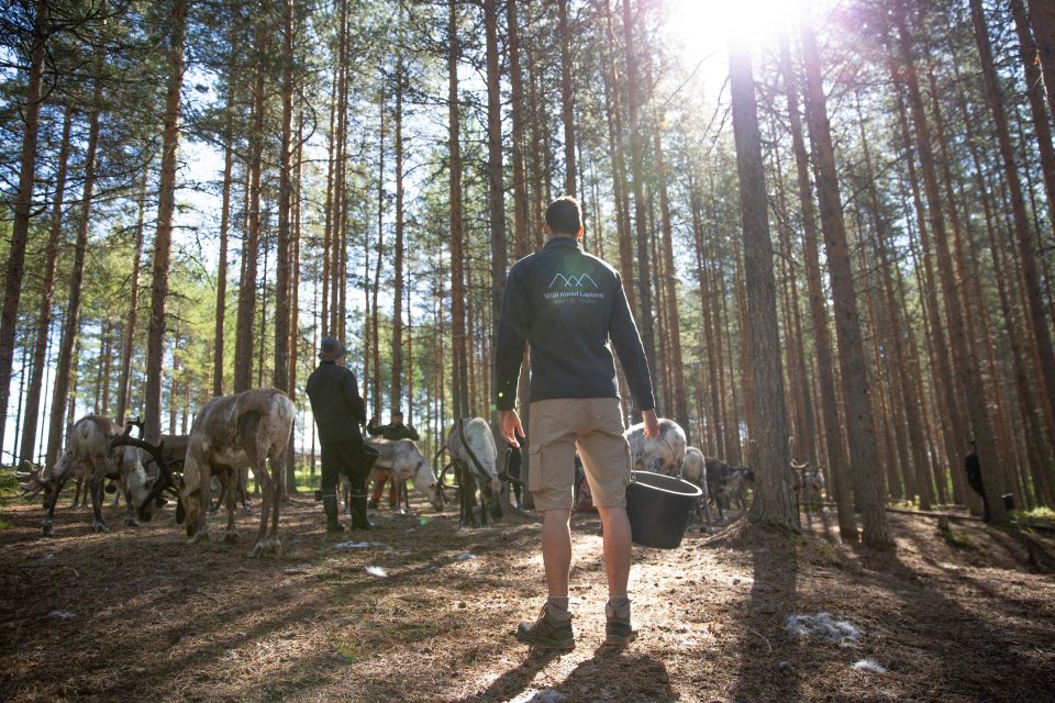 Rovaniemi: Authentic Reindeer Farm & Canoeing - Who should book, and who should skip