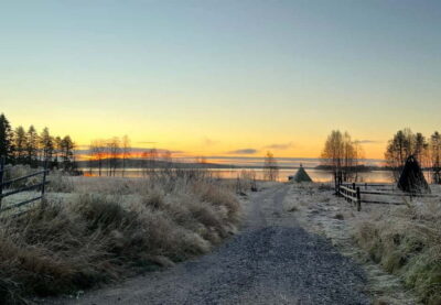 Rovaniemi: Autumn Husky Ride on Wheels - Arriving at Apukka Resort and finding the husky farm